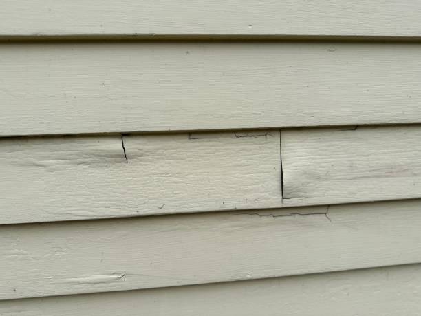 Best Steel Siding Installation  in West Lafayette, IN